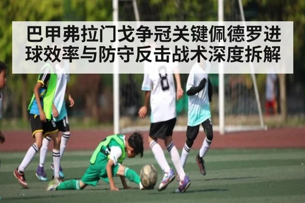 巴甲弗拉门戈争冠关键佩德罗进球效率与防守反击战术深度拆解